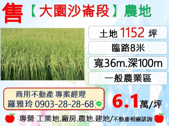 桃園大園農地-1