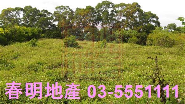 新竹峨眉農地-1