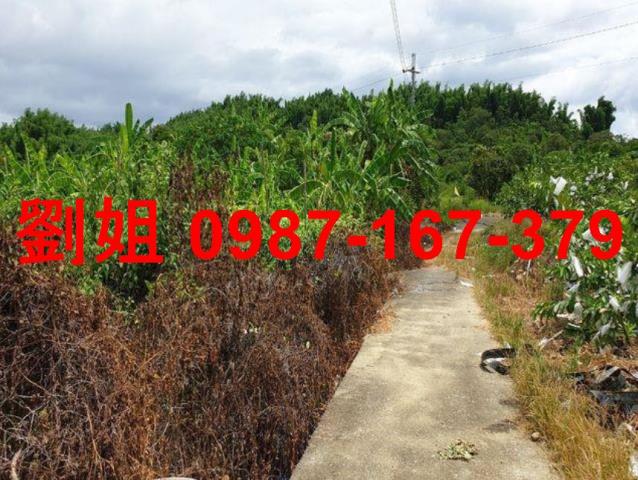 高雄杉林農地-3