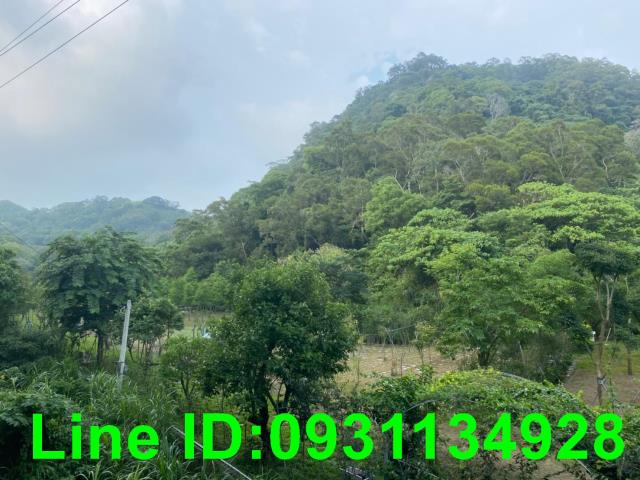台中后里農地-7