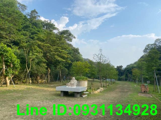 台中后里農地-1