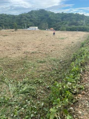 后里農地-10