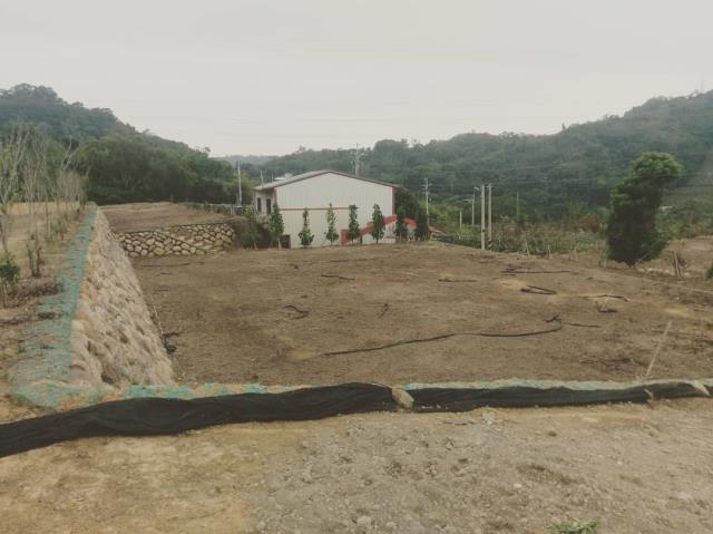 后里農地-3