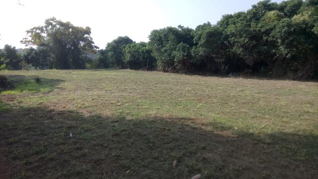 彰化彰化市農地-4