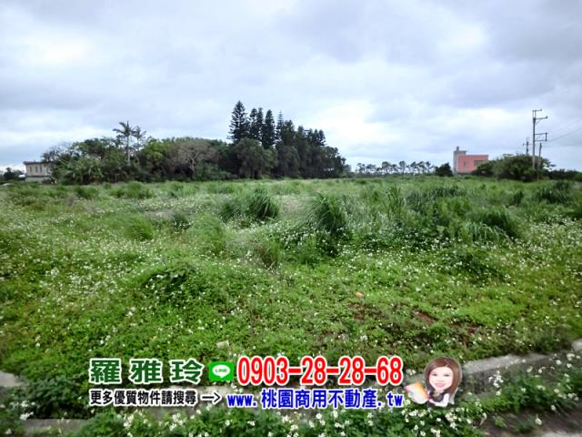 觀音建地-10