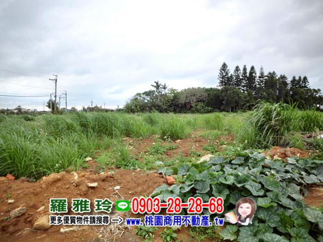 觀音建地-12