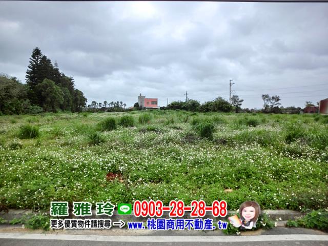 觀音建地-4
