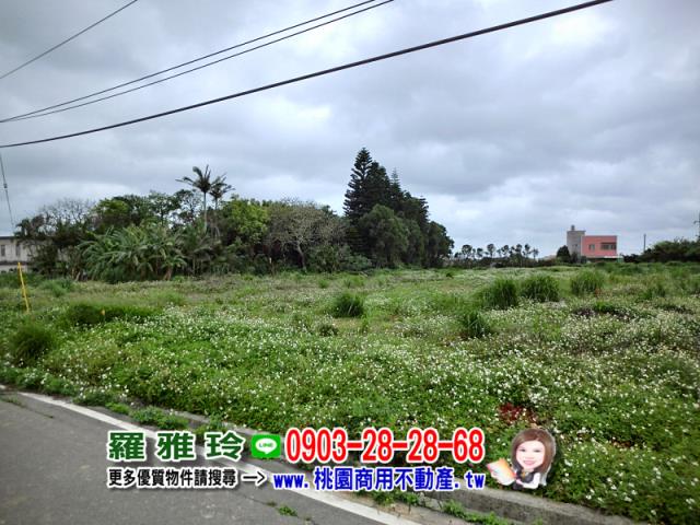 觀音建地-5