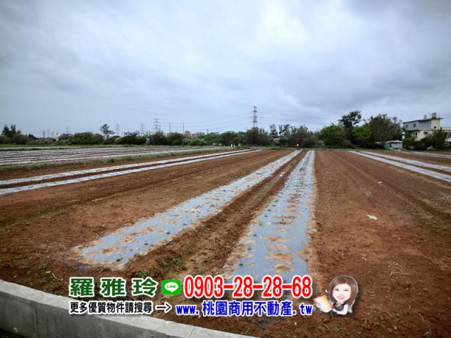 觀音建地-7