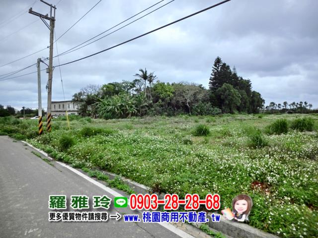 觀音建地-9
