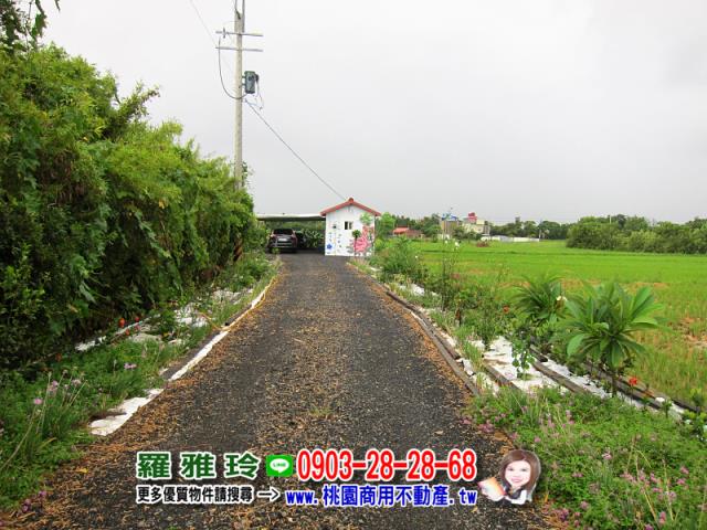 桃園觀音農地-2