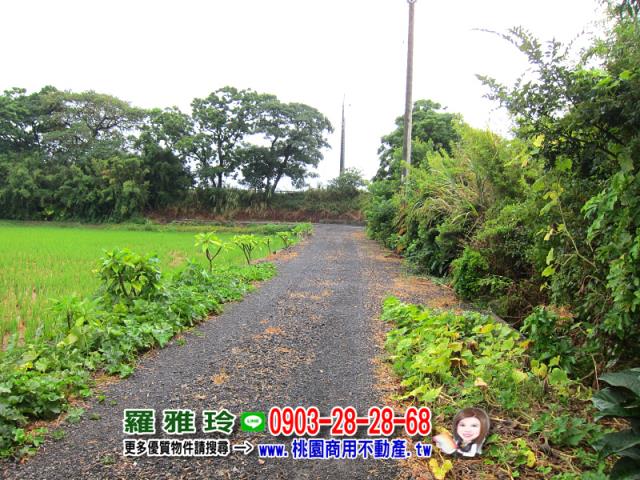 桃園觀音農地-3