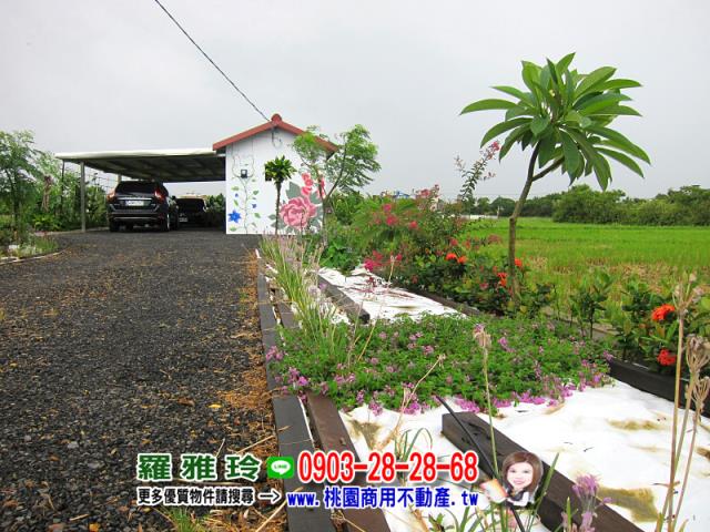 桃園觀音農地-4