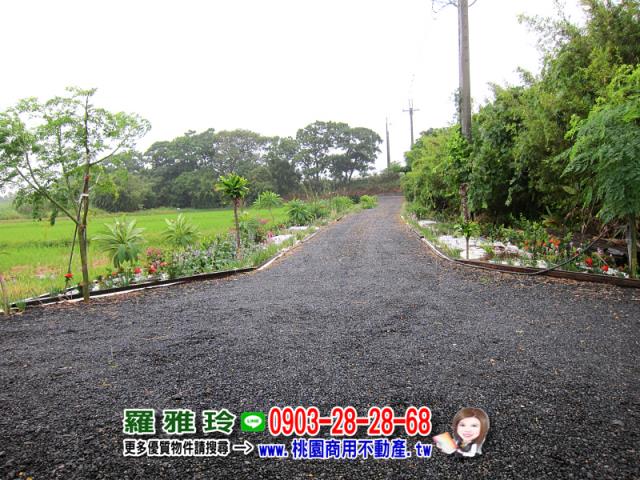桃園觀音農地-8