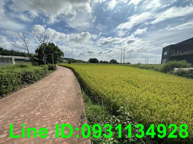 台中外埔農建地-2