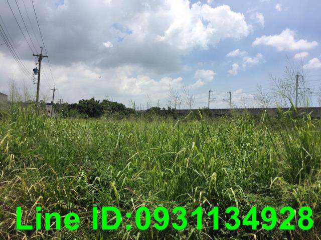 台中外埔農地-1