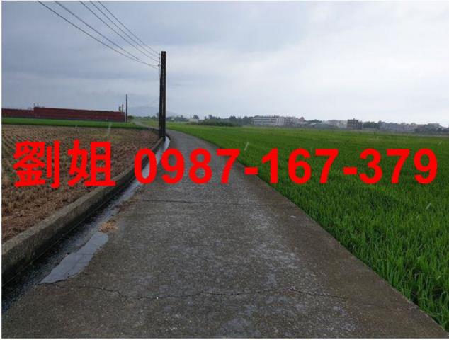梓官農地-3