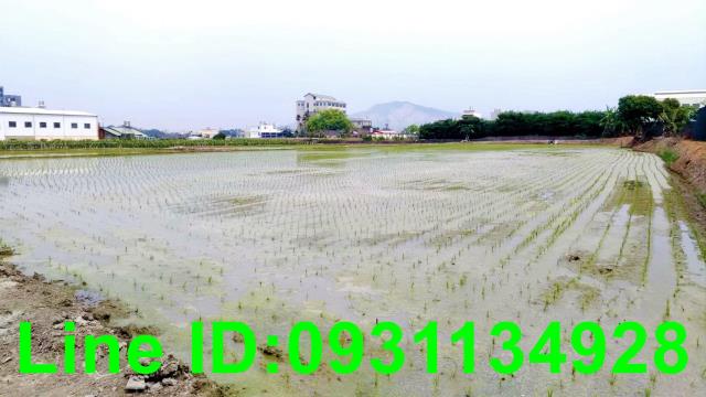 台中后里農地-2