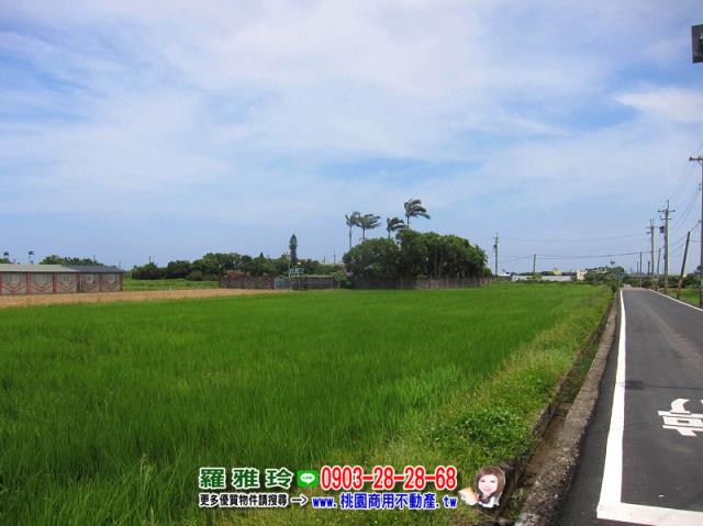 桃園中壢建地-4