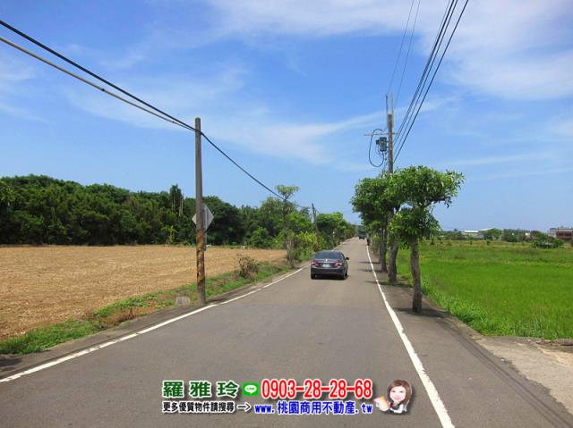 桃園中壢建地-5