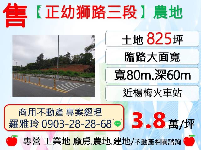桃園楊梅農地-1