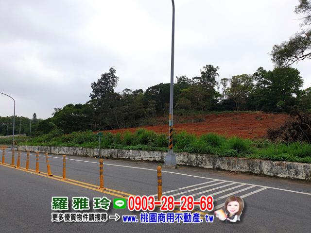 桃園楊梅農地-2