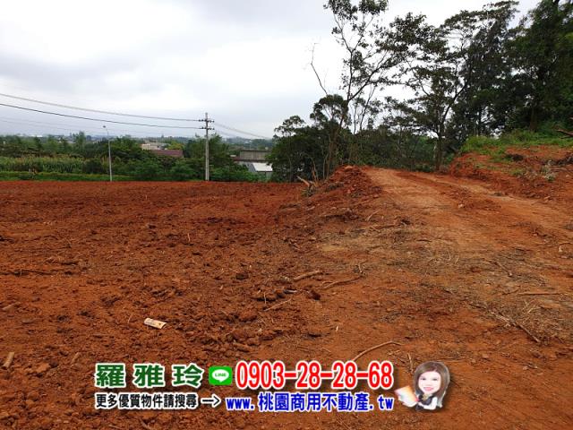 桃園楊梅農地-6