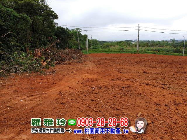 桃園楊梅農地-7