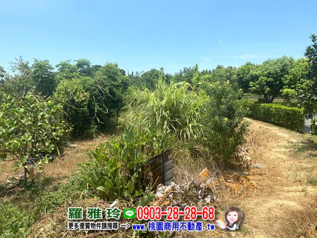 桃園楊梅農地-6