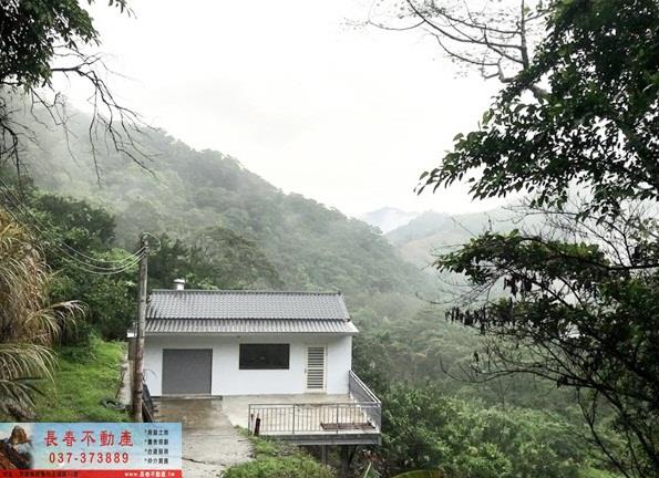 獅潭山坡地-5
