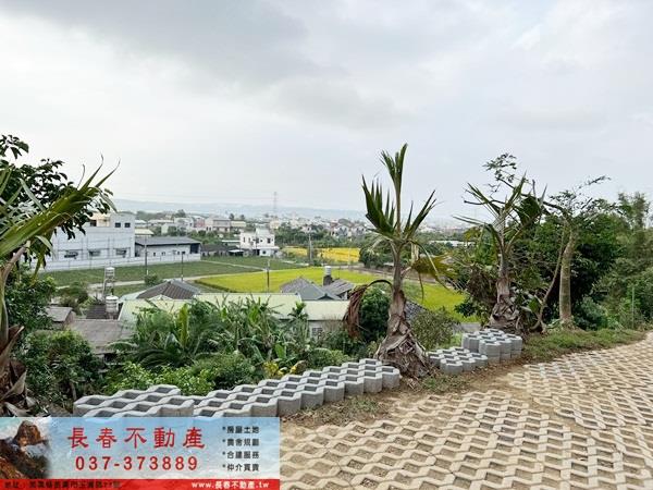 公館農地-10