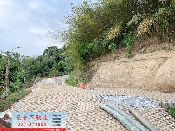 公館農地-6