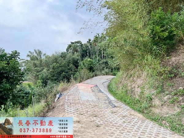 公館農地-7