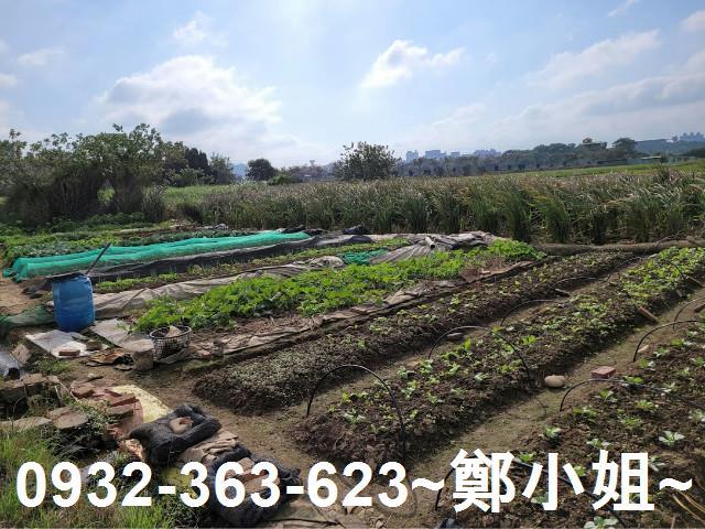 桃園八德農地-10