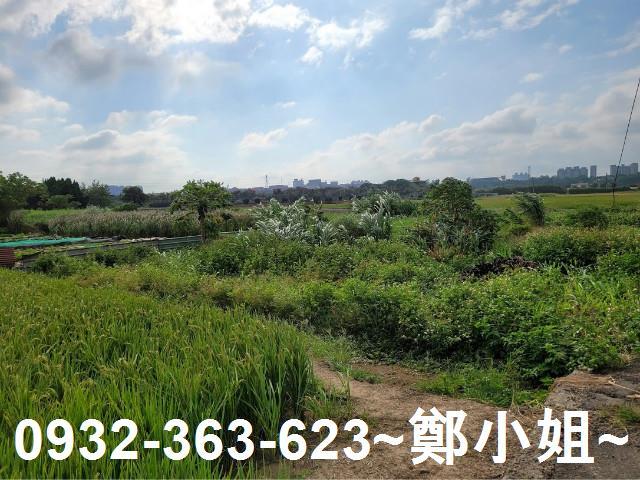 桃園八德農地-2