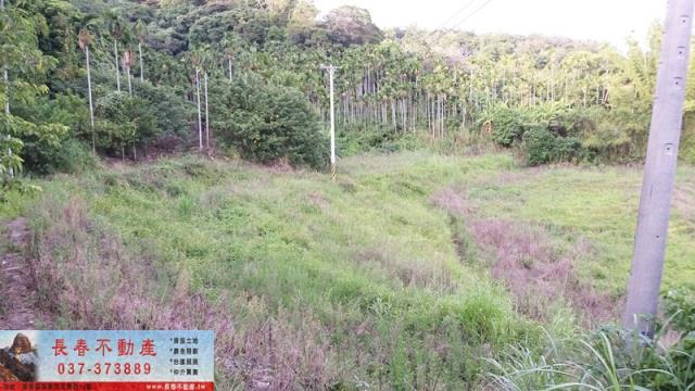 苗栗銅鑼建地-1