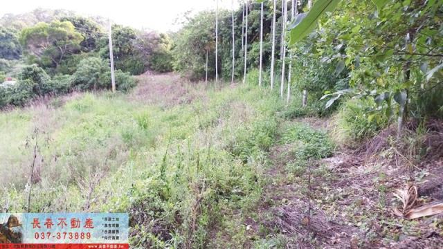 苗栗銅鑼建地-3