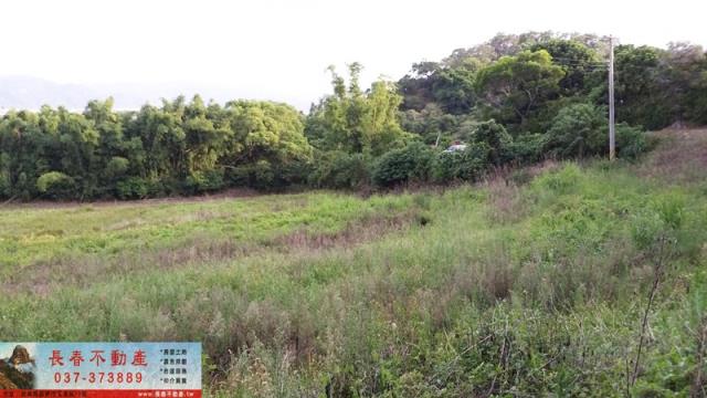 苗栗銅鑼建地-4