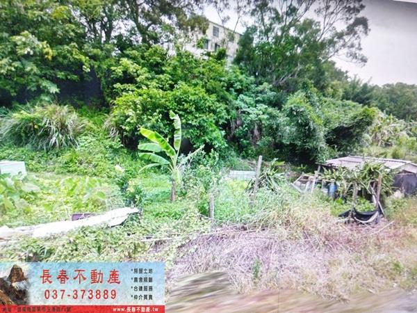 苗栗農地-2