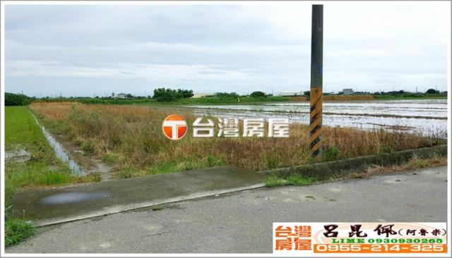 水林農地-2