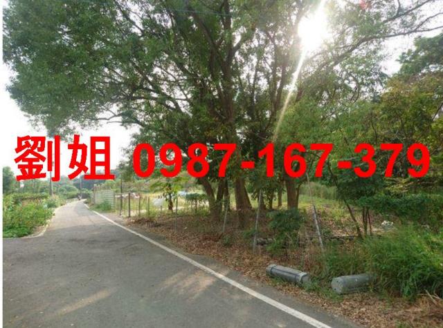 大樹農地-1