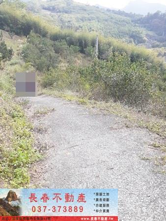 卓蘭農地-2