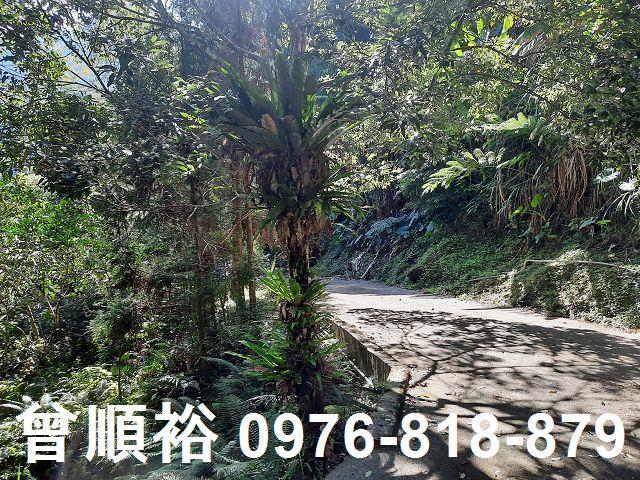 竹東農地-13