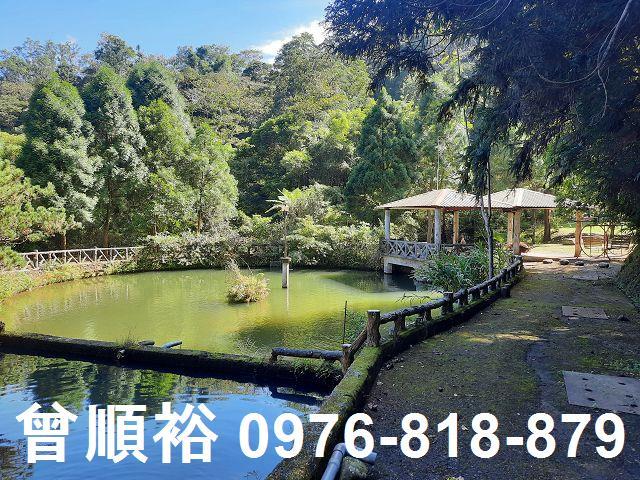 竹東農地-1
