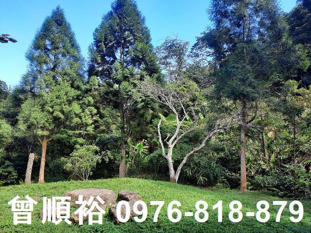 竹東農地-2