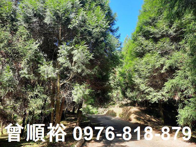 竹東農地-3