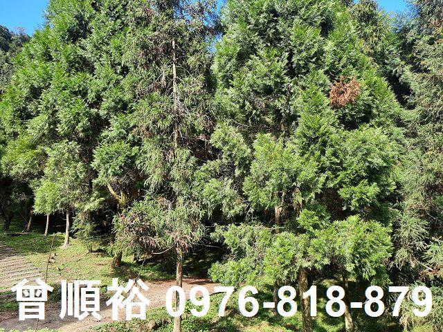 竹東農地-6