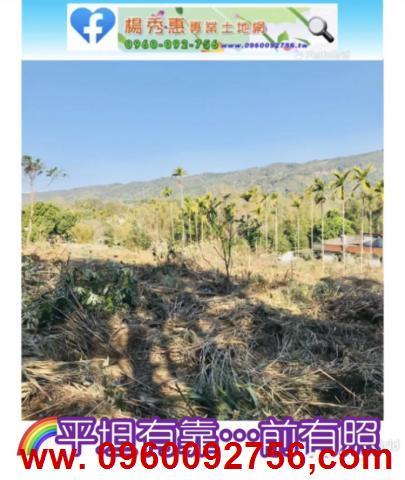 新竹關西休閒地-8