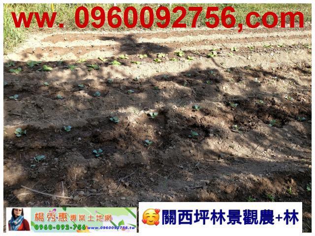 新竹關西休閒地-3