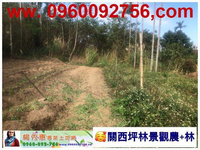 新竹關西休閒地-1